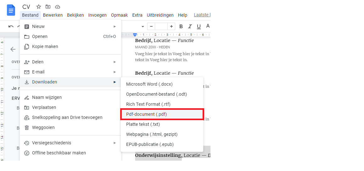 Google docs cv downloaden