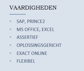 vaardigheden in Microsoft Word