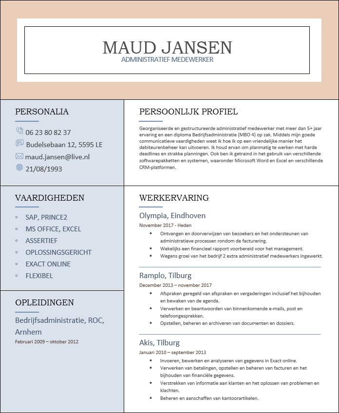 Voorbeeld cv Word